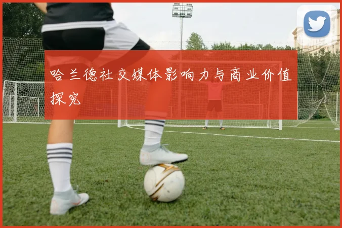 哈兰德社交媒体影响力与商业价值探究